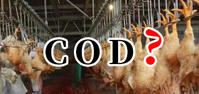 一般雞屠宰廢水COD在多少？