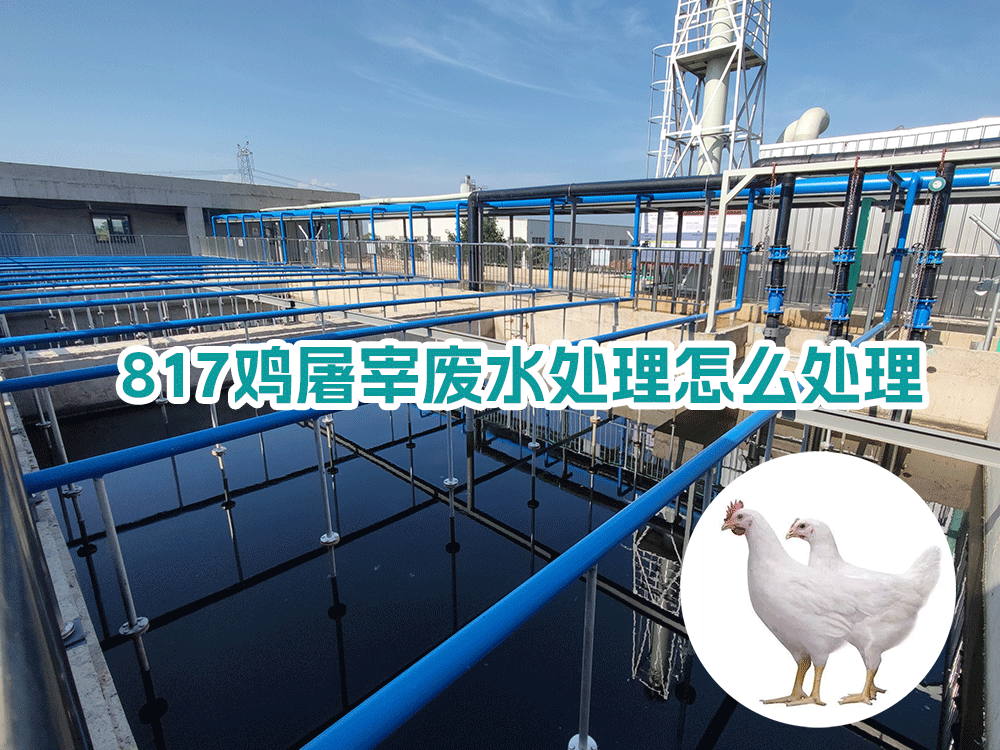 817雞屠宰廢水處理怎么處理？