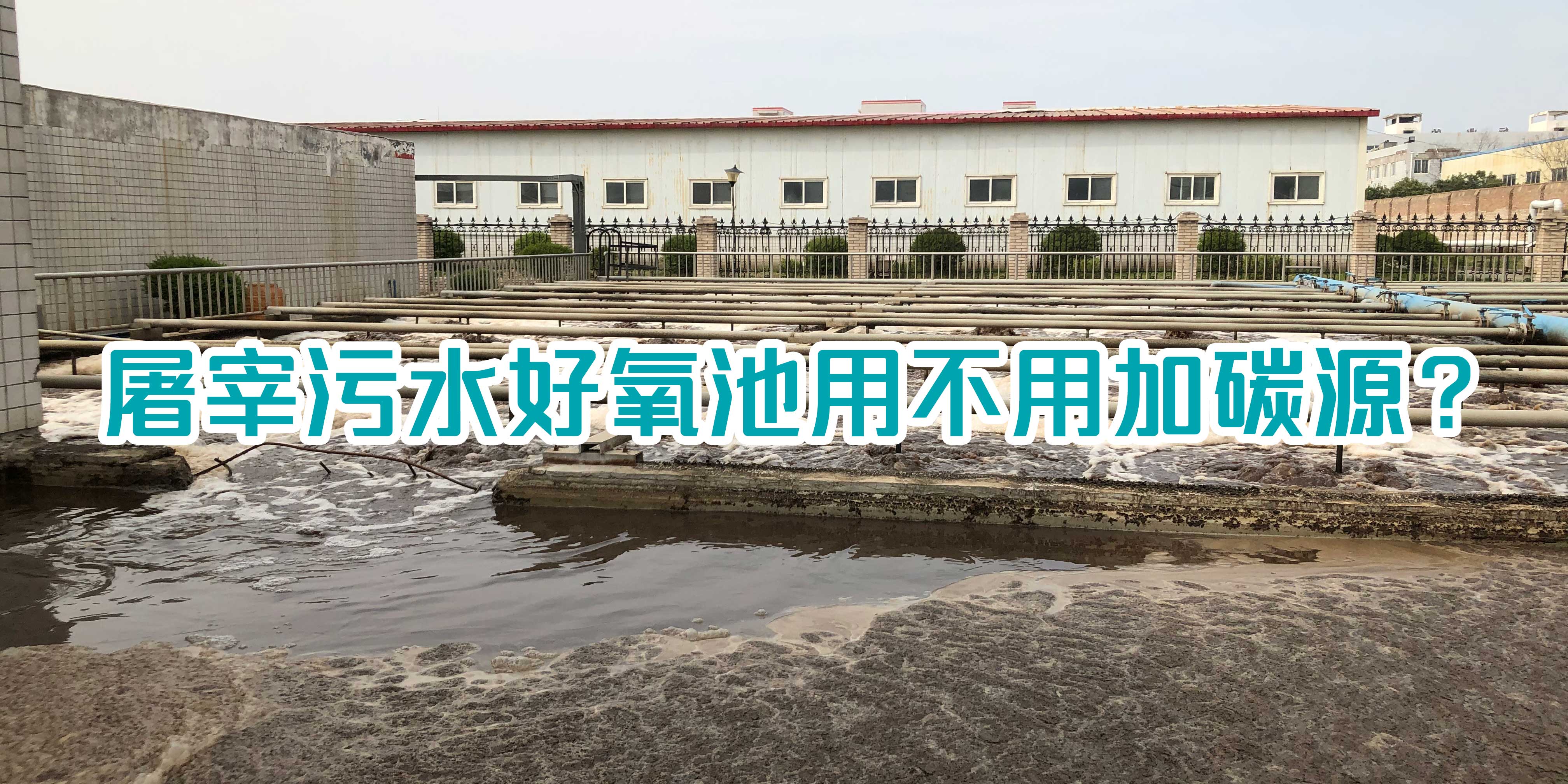 屠宰污水好氧池用不用加碳源？