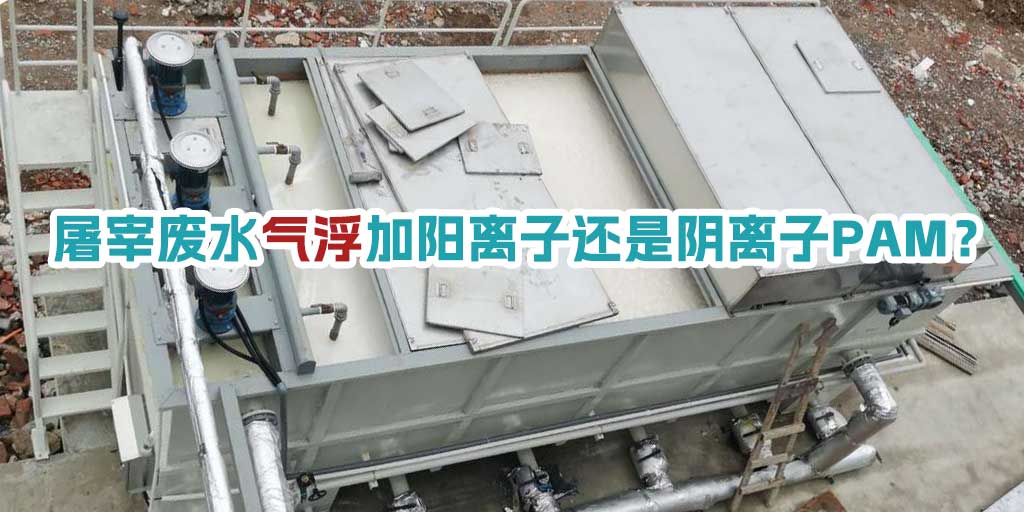 屠宰廢水氣浮加陽離子還是陰離子PAM？