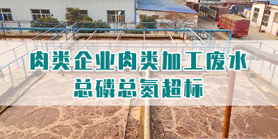 肉類企業(yè)肉類加工廢水總磷總氮超標(biāo)怎么處理？