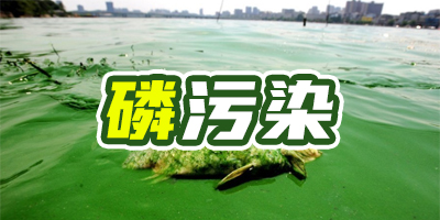 含磷廢水有什么特點？哪種除磷方法成本比較低？